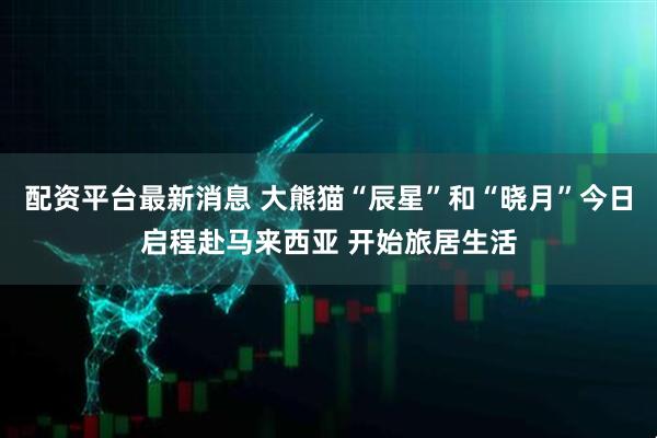 配资平台最新消息 大熊猫“辰星”和“晓月”今日启程赴马来西亚 开始旅居生活